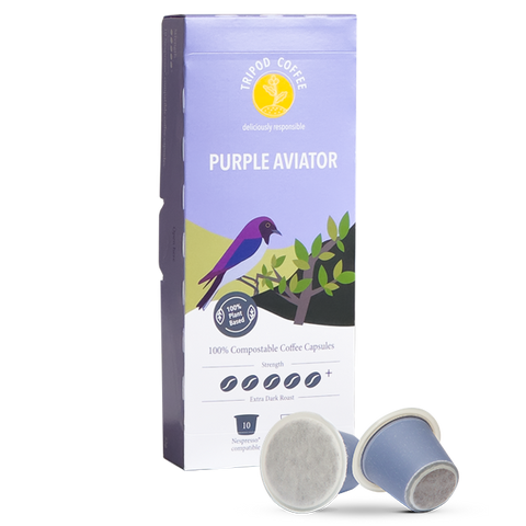 Tripod Purple Aviator