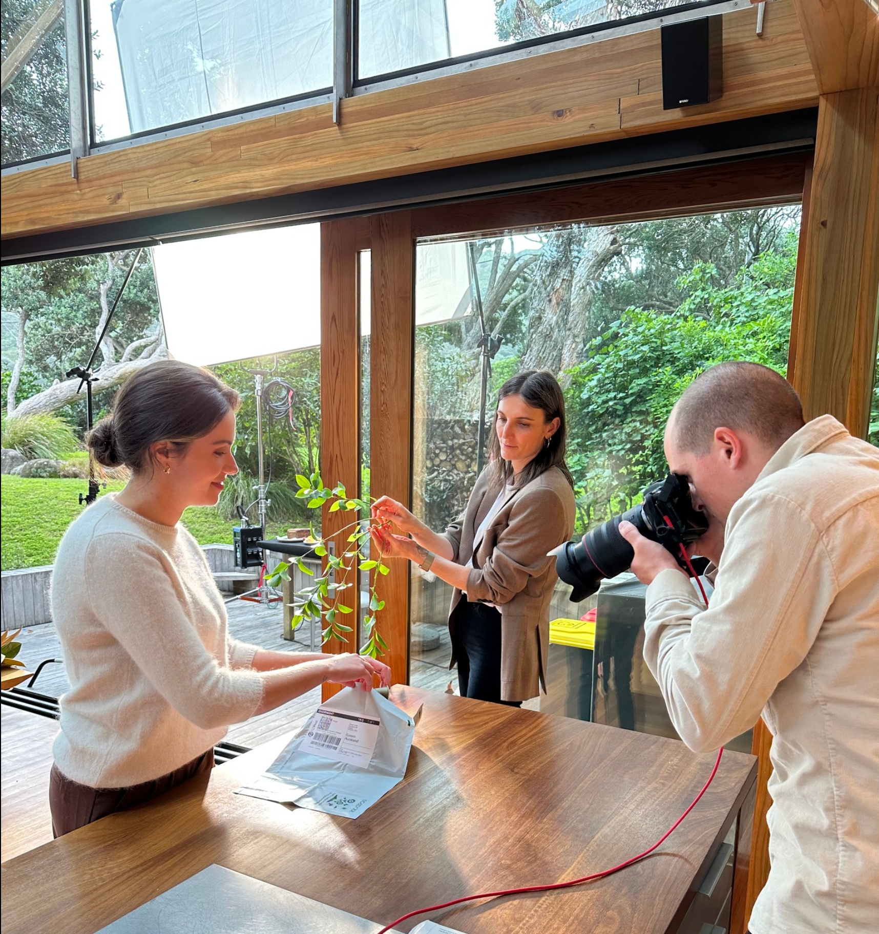 Genius way to get dappled lighting – thanks Hayley.