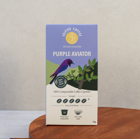Tripod Purple Aviator